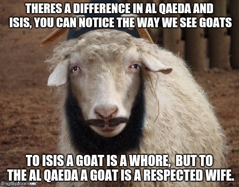 Goats have rights too, infidels | THERES A DIFFERENCE IN AL QAEDA AND ISIS, YOU CAN NOTICE THE WAY WE SEE GOATS TO ISIS A GOAT IS A W**RE, BUT TO THE AL QAEDA A GOAT ISA RE | image tagged in allahu akbar,isis can suck it,al qaeda makes best memes | made w/ Imgflip meme maker