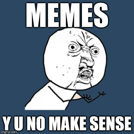 Y U No Meme | MEMES Y U NO MAKE SENSE | image tagged in memes,y u no | made w/ Imgflip meme maker