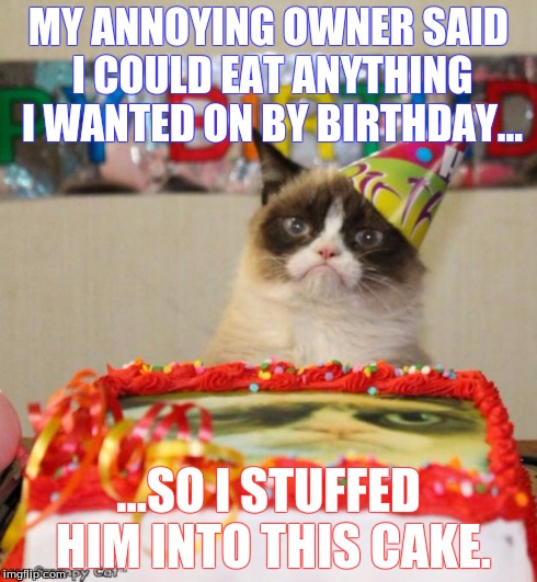 grumpy cat birthday gif