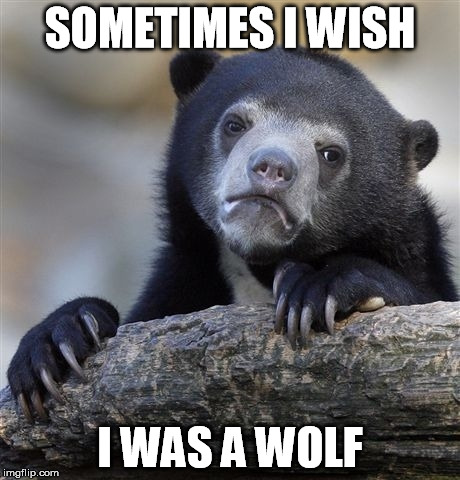 Confession Bear Meme | SOMETIMES I WISH I WAS A WOLF | image tagged in memes,confession bear | made w/ Imgflip meme maker