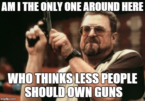 Am I The Only One Around Here | AM I THE ONLY ONE AROUND HERE WHO THINKS LESS PEOPLE SHOULD OWN GUNS | image tagged in memes,am i the only one around here | made w/ Imgflip meme maker