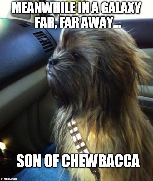 MEANWHILE IN A GALAXY FAR, FAR AWAY... SON OF CHEWBACCA | image tagged in chewey,star wars | made w/ Imgflip meme maker