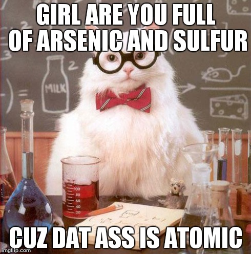 Science Cat | GIRL ARE YOU FULL OF ARSENIC AND SULFUR CUZ DAT ASS IS ATOMIC | image tagged in science cat | made w/ Imgflip meme maker