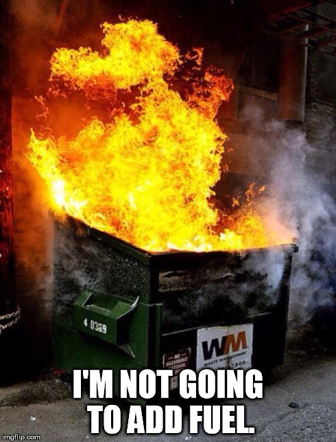 Dumpster Fire | I'M NOT GOING TO ADD FUEL. | image tagged in dumpster fire | made w/ Imgflip meme maker
