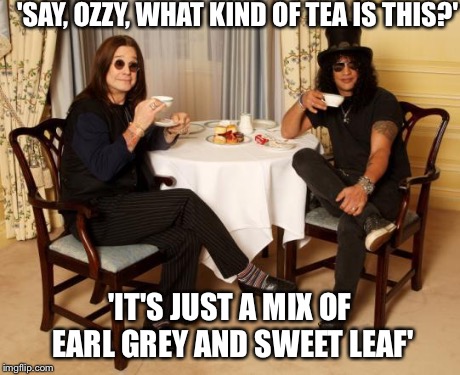 slashozzy | 'SAY, OZZY, WHAT KIND OF TEA IS THIS?' 'IT'S JUST A MIX OF EARL GREY AND SWEET LEAF' | image tagged in slashozzy | made w/ Imgflip meme maker