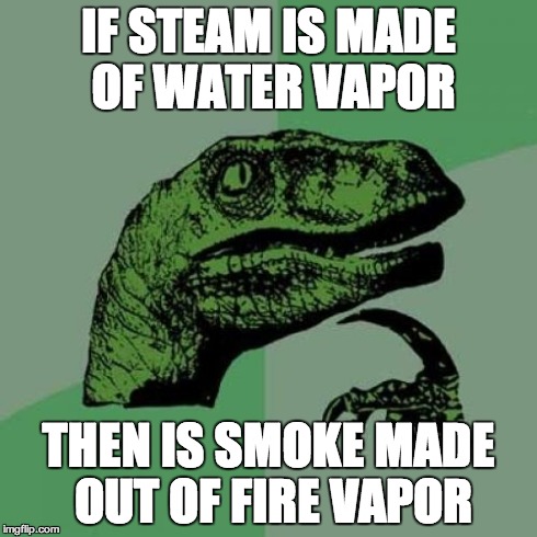 Philosoraptor | IF STEAM IS MADE OF WATER VAPOR THEN IS SMOKE MADE OUT OF FIRE VAPOR | image tagged in memes,philosoraptor | made w/ Imgflip meme maker