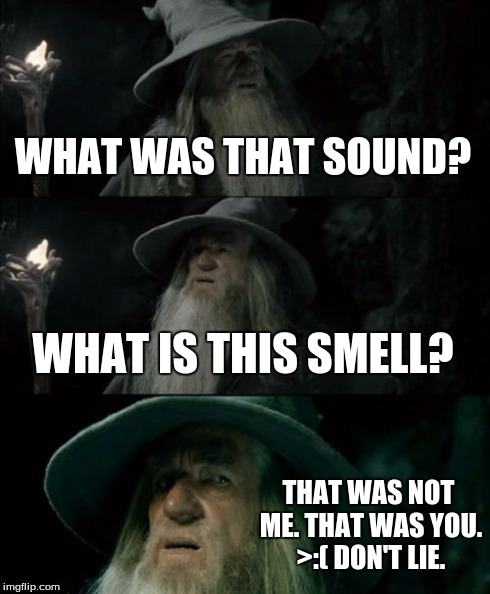 Confused Gandalf Meme | WHAT WAS THAT SOUND? WHAT IS THIS SMELL? THAT WAS NOT ME. THAT WAS YOU. >:( DON'T LIE. | image tagged in memes,confused gandalf | made w/ Imgflip meme maker