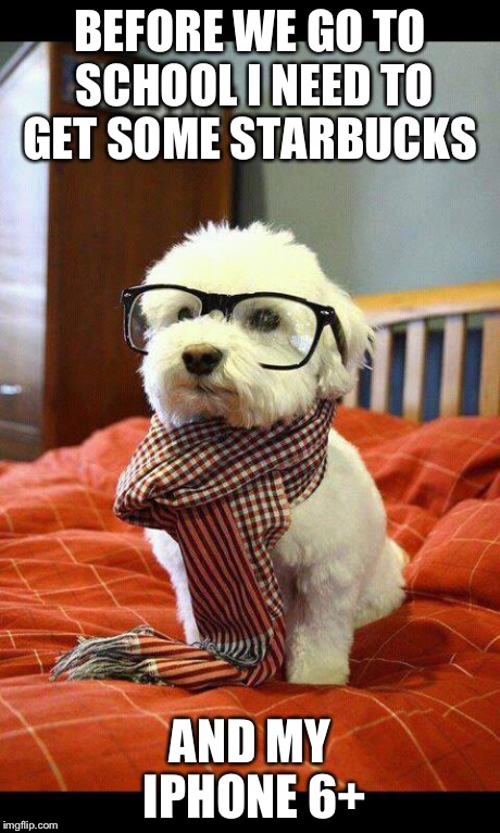 Intelligent Dog Meme | BEFORE WE GO TO SCHOOL I NEED TO GET SOME STARBUCKS AND MY IPHONE 6+ | image tagged in memes,intelligent dog | made w/ Imgflip meme maker