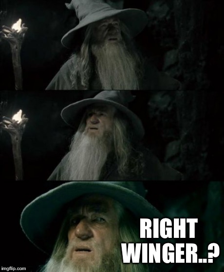 Confused Gandalf Meme | RIGHT WINGER..? | image tagged in memes,confused gandalf | made w/ Imgflip meme maker