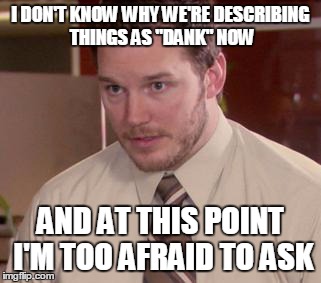 Afraid To Ask Andy (Closeup) Meme | I DON'T KNOW WHY WE'RE DESCRIBING THINGS AS "DANK" NOW AND AT THIS POINT I'M TOO AFRAID TO ASK | image tagged in and i'm too afraid to ask andy,AdviceAnimals | made w/ Imgflip meme maker
