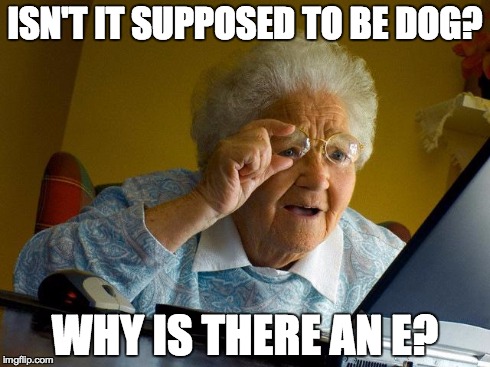 Grandma Finds The Internet | ISN'T IT SUPPOSED TO BE DOG? WHY IS THERE AN E? | image tagged in memes,grandma finds the internet,doge | made w/ Imgflip meme maker