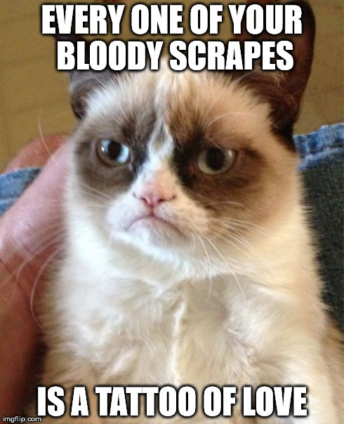 Grumpy Cat Meme | EVERY ONE OF YOUR BLOODY SCRAPES IS A TATTOO OF LOVE | image tagged in memes,grumpy cat | made w/ Imgflip meme maker