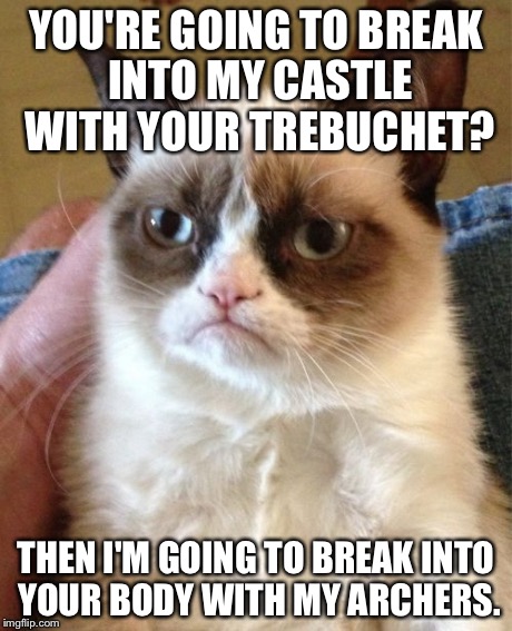 Grumpy Cat Meme | YOU'RE GOING TO BREAK INTO MY CASTLE WITH YOUR TREBUCHET? THEN I'M GOING TO BREAK INTO YOUR BODY WITH MY ARCHERS. | image tagged in memes,grumpy cat | made w/ Imgflip meme maker