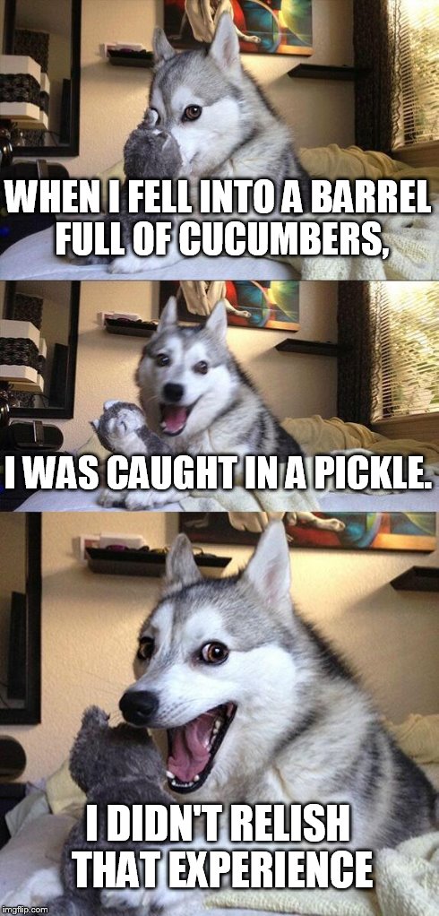 Bad Pun Dog | WHEN I FELL INTO A BARREL FULL OF CUCUMBERS, I WAS CAUGHT IN A PICKLE. I DIDN'T RELISH THAT EXPERIENCE | image tagged in memes,bad pun dog | made w/ Imgflip meme maker