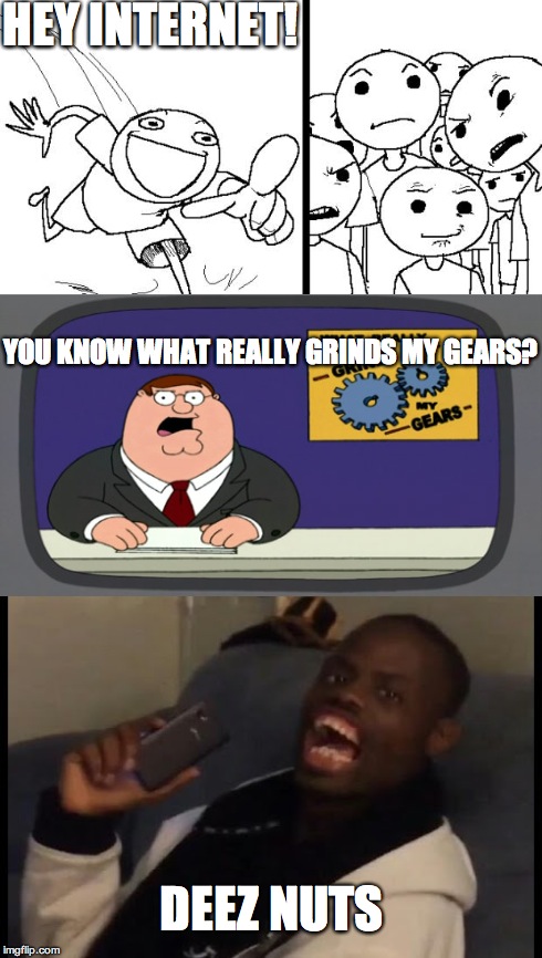 I think this guy is kinda annoying, but I couldn't help myself | HEY INTERNET! YOU KNOW WHAT REALLY GRINDS MY GEARS? DEEZ NUTS | image tagged in memes,hey internet | made w/ Imgflip meme maker