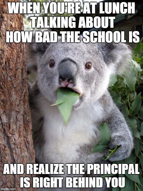 Surprised Koala | WHEN YOU'RE AT LUNCH TALKING ABOUT HOW BAD THE SCHOOL IS AND REALIZE THE PRINCIPAL IS RIGHT BEHIND YOU | image tagged in memes,surprised koala | made w/ Imgflip meme maker