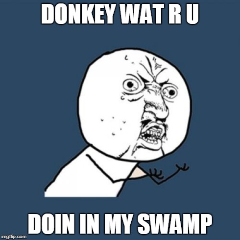 Y U No | DONKEY WAT R U DOIN IN MY SWAMP | image tagged in memes,y u no | made w/ Imgflip meme maker