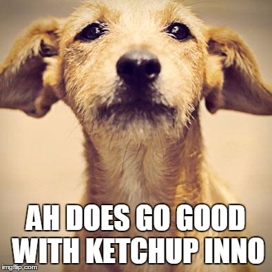 AH DOES GO GOOD WITH KETCHUP INNO | image tagged in pothound | made w/ Imgflip meme maker