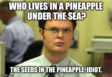 Dwight Schrute Meme | WHO LIVES IN A PINEAPPLE UNDER THE SEA? THE SEEDS IN THE PINEAPPLE, IDIOT. | image tagged in memes,dwight schrute | made w/ Imgflip meme maker