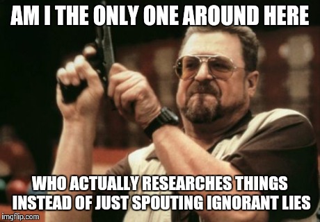 Am I The Only One Around Here Meme | AM I THE ONLY ONE AROUND HERE WHO ACTUALLY RESEARCHES THINGS INSTEAD OF JUST SPOUTING IGNORANT LIES | image tagged in memes,am i the only one around here | made w/ Imgflip meme maker