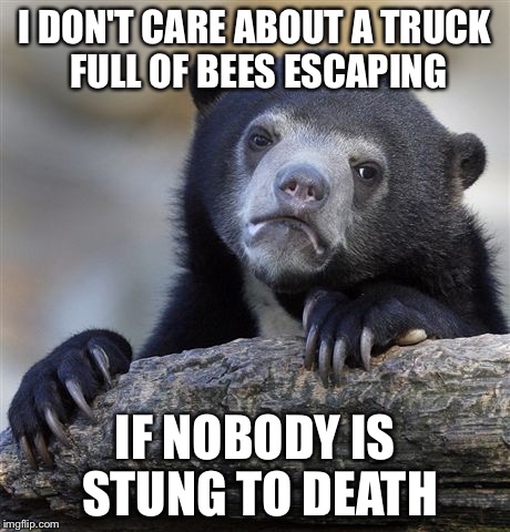 Confession Bear | I DON'T CARE ABOUT A TRUCK FULL OF BEES ESCAPING IF NOBODY IS STUNG TO DEATH | image tagged in memes,confession bear | made w/ Imgflip meme maker