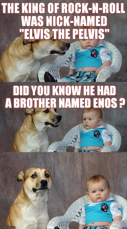 another Richard joke | THE KING OF ROCK-N-ROLL WAS NICK-NAMED "ELVIS THE PELVIS" DID YOU KNOW HE HAD A BROTHER NAMED ENOS ? | image tagged in memes,dad joke dog,funny memes | made w/ Imgflip meme maker