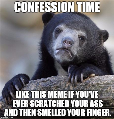 Confession Time | CONFESSION TIME LIKE THIS MEME IF YOU'VE EVER SCRATCHED YOUR ASS AND THEN SMELLED YOUR FINGER. | image tagged in memes,confession bear,ass,scratch'n'sniff | made w/ Imgflip meme maker