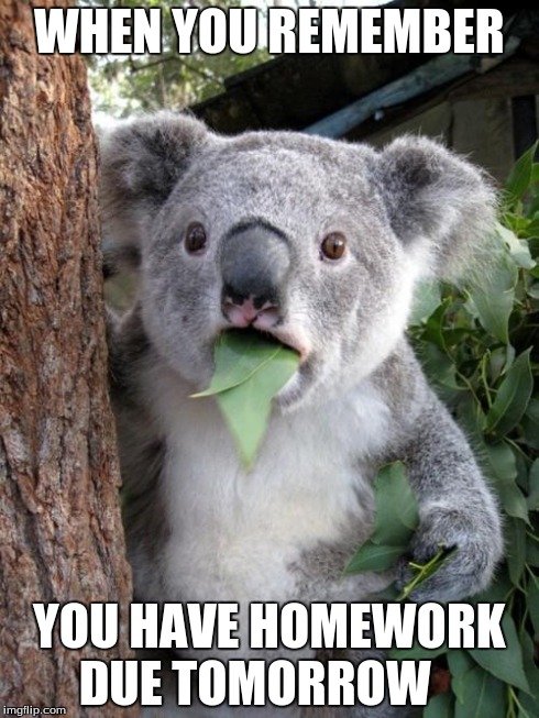 I don't know how many times this happened to me. | WHEN YOU REMEMBER YOU HAVE HOMEWORK DUE TOMORROW | image tagged in memes,surprised koala | made w/ Imgflip meme maker