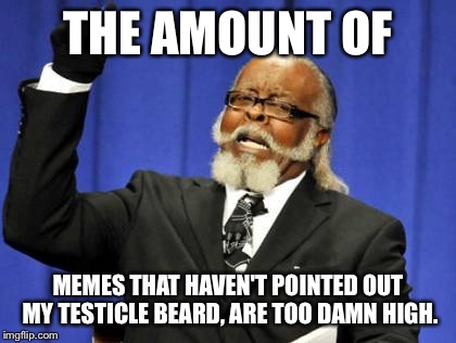 Too Damn High | THE AMOUNT OF MEMES THAT HAVEN'T POINTED OUT MY TESTICLE BEARD, ARE TOO DAMN HIGH. | image tagged in memes,too damn high | made w/ Imgflip meme maker