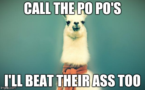Call the po po's I'll beat there ass too | CALL THE PO PO'S I'LL BEAT THEIR ASS TOO | image tagged in llama,mattb,popo's,def llama | made w/ Imgflip meme maker