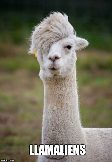 Llama with flow | LLAMALIENS | image tagged in llama with flow | made w/ Imgflip meme maker