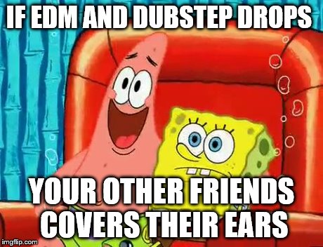 IF EDM AND DUBSTEP DROPS YOUR OTHER FRIENDS COVERS THEIR EARS | image tagged in loud edm trap dubstep | made w/ Imgflip meme maker