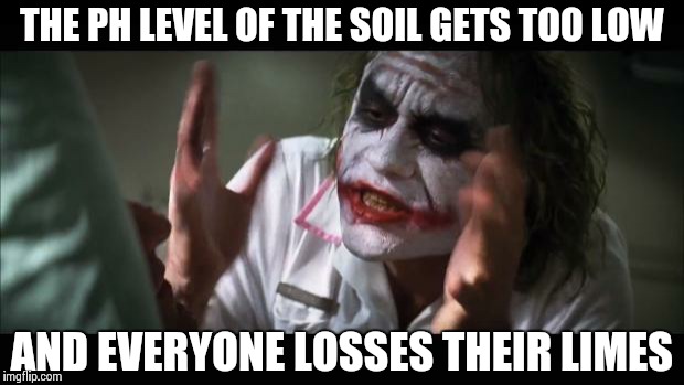 And everybody loses their minds | THE PH LEVEL OF THE SOIL GETS TOO LOW AND EVERYONE LOSSES THEIR LIMES | image tagged in memes,and everybody loses their minds | made w/ Imgflip meme maker