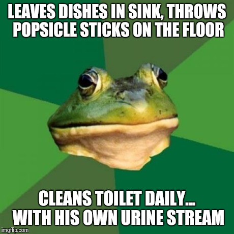 Ye Olde Roommate! | LEAVES DISHES IN SINK, THROWS POPSICLE STICKS ON THE FLOOR CLEANS TOILET DAILY... WITH HIS OWN URINE STREAM | image tagged in memes,foul bachelor frog | made w/ Imgflip meme maker