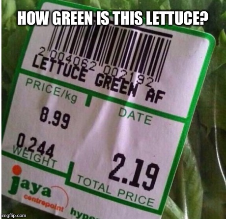 HOW GREEN IS THIS LETTUCE? | image tagged in memes | made w/ Imgflip meme maker
