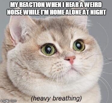 Heavy Breathing Cat | MY REACTION WHEN I HEAR A WEIRD NOISE WHILE I'M HOME ALONE AT NIGHT | image tagged in memes,heavy breathing cat | made w/ Imgflip meme maker