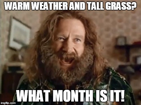 Finaly | WARM WEATHER AND TALL GRASS? WHAT MONTH IS IT! | image tagged in memes,what year is it | made w/ Imgflip meme maker