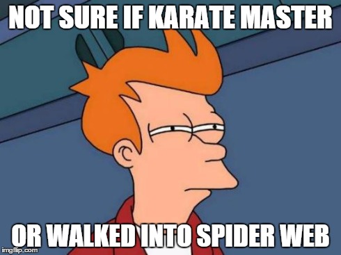 Futurama Fry | NOT SURE IF KARATE MASTER OR WALKED INTO SPIDER WEB | image tagged in memes,futurama fry | made w/ Imgflip meme maker