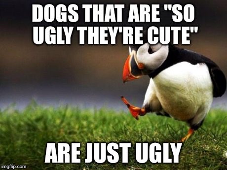 Ugly = Ugly | DOGS THAT ARE "SO UGLY THEY'RE CUTE" ARE JUST UGLY | image tagged in memes,unpopular opinion puffin,dogs,pets,ugly | made w/ Imgflip meme maker