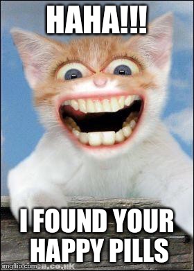 Crazy cat  | HAHA!!! I FOUND YOUR HAPPY PILLS | image tagged in crazy cat | made w/ Imgflip meme maker