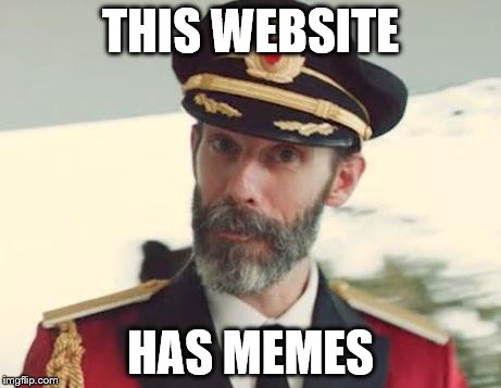 Captain Obvious | THIS WEBSITE HAS MEMES | image tagged in captain obvious | made w/ Imgflip meme maker