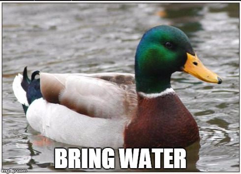 Actual Advice Mallard Meme | BRING WATER | image tagged in memes,actual advice mallard,see | made w/ Imgflip meme maker