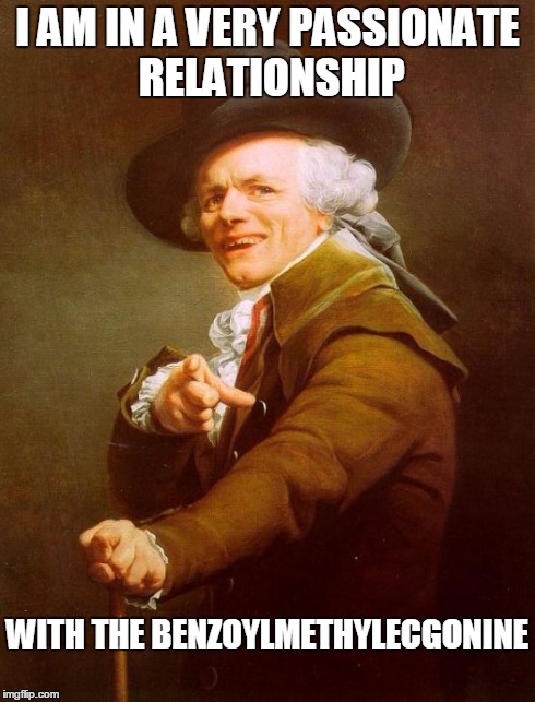 Joseph Ducreux Meme | I AM IN A VERY PASSIONATE RELATIONSHIP WITH THE BENZOYLMETHYLECGONINE | image tagged in memes,joseph ducreux | made w/ Imgflip meme maker