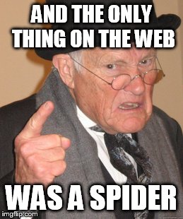 Back In My Day Meme | AND THE ONLY THING ON THE WEB WAS A SPIDER | image tagged in memes,back in my day | made w/ Imgflip meme maker