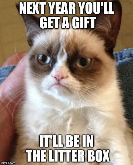 Grumpy Cat Meme | NEXT YEAR YOU'LL GET A GIFT IT'LL BE IN THE LITTER BOX | image tagged in memes,grumpy cat | made w/ Imgflip meme maker