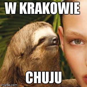 Whisper Sloth Meme | W KRAKOWIE CHUJU | image tagged in memes,whisper sloth | made w/ Imgflip meme maker