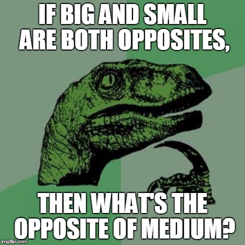 Philosoraptor | IF BIG AND SMALL ARE BOTH OPPOSITES, THEN WHAT'S THE OPPOSITE OF MEDIUM? | image tagged in memes,philosoraptor | made w/ Imgflip meme maker
