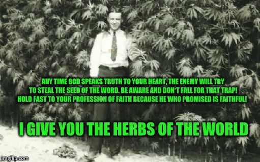 history of hempman | I GIVE YOU THE HERBS OF THE WORLD ANY TIME GOD SPEAKS TRUTH TO YOUR HEART, THE ENEMY WILL TRY TO STEAL THE SEED OF THE WORD. BE AWARE AND DO | image tagged in history of hempman | made w/ Imgflip meme maker