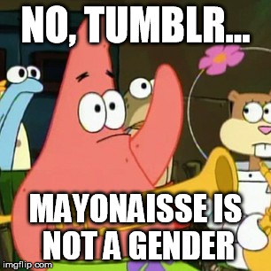 you may have seen this before, just not on this site | NO, TUMBLR... MAYONAISSE IS NOT A GENDER | image tagged in memes,no patrick | made w/ Imgflip meme maker