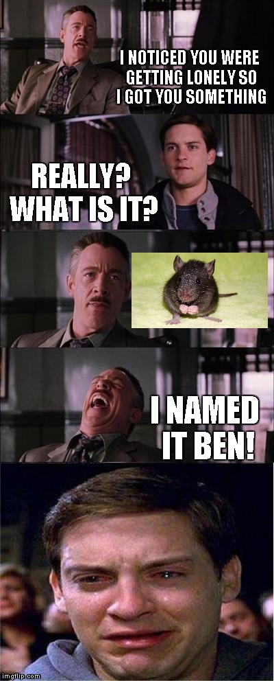 Peter Parker Cry | I NOTICED YOU WERE GETTING LONELY SO I GOT YOU SOMETHING REALLY? WHAT IS IT? I NAMED IT BEN! | image tagged in memes,peter parker cry | made w/ Imgflip meme maker
